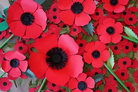 Poppies 1